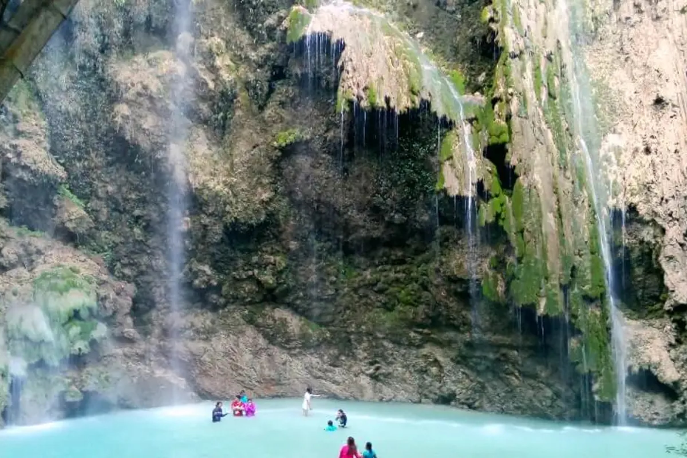 Whale Shark with Tumalog Falls & Sumilon Sandbar